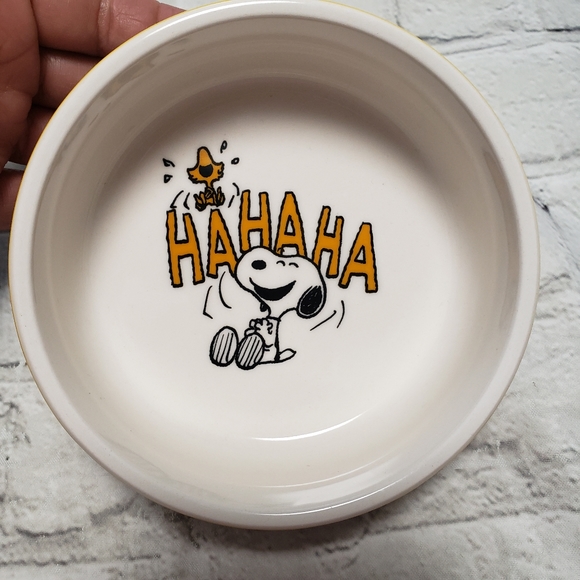 Rae Dunn X Peanuts Cat Food/Water Plate. - Picture 1 of 6